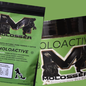 MOLOACTIVE - SUPLEMENTO NATURAL PARA APORTAR ENERGÍA EXTRA