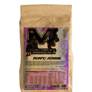 MOLOSSER PUPPY/JUNIOR